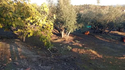 Rustic Finca in Villanueva de La Vera photo 73