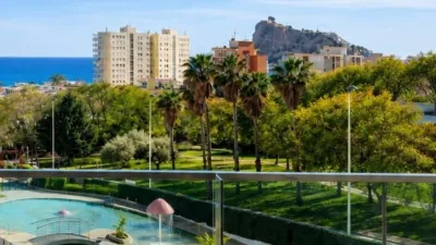 Apartment in Platja de Ponent photo 44