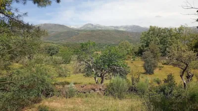 Rustic finca in Villanueva de La Vera photo 80