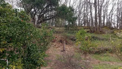 Rustic Finca in Valverde de La Vera photo 26