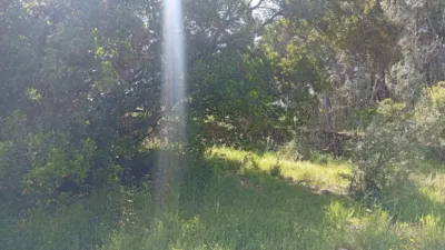 Rustic finca in Villanueva de La Vera photo 69