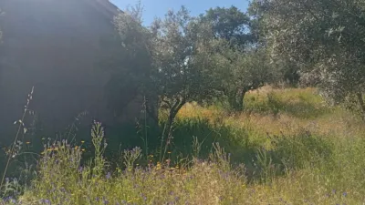 Chalet in Villanueva de La Vera photo 31