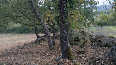 Rustic Finca in Villanueva de La Vera photo 102