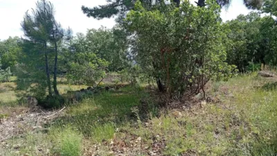 Rustic finca in Villanueva de La Vera photo 78