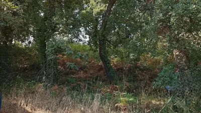 Rustic finca in Madrigal de La Vera photo 29