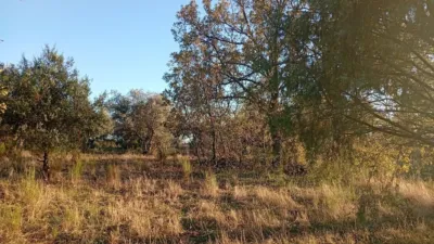 Rustic farm in Viandar de La Vera photo 34