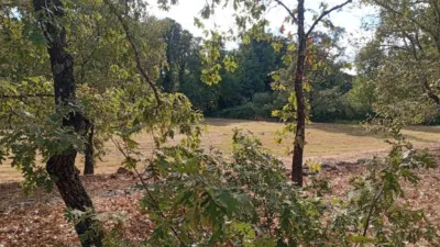 Rustic Finca in Villanueva de La Vera photo 18