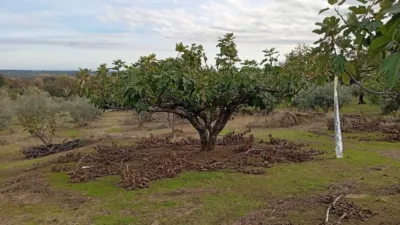 Rustic finca in Villanueva de La Vera photo 49