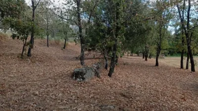 Rustic Finca in Villanueva de La Vera photo 111