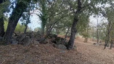 Rustic Finca in Villanueva de La Vera photo 119