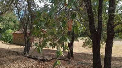 Rustic Finca in Villanueva de La Vera photo 12