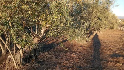 Rustic Finca in Villanueva de La Vera photo 8