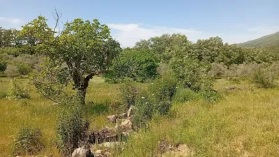 Rustic finca in Villanueva de La Vera photo 110