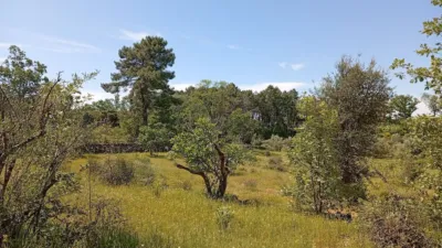 Rustic finca in Villanueva de La Vera photo 105