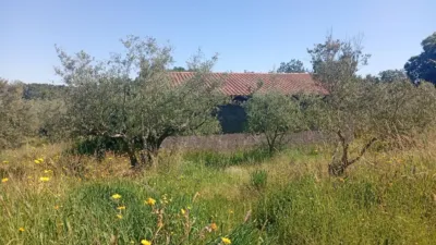 Chalet in Villanueva de La Vera photo 87