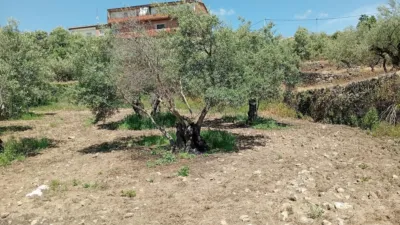 Rustic Finca in Villanueva de La Vera photo 65
