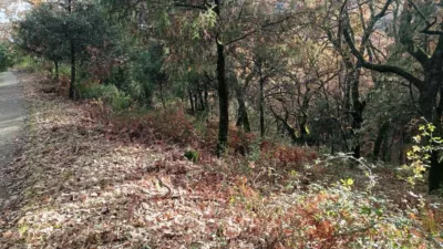 Rustic Finca in Villanueva de La Vera photo 10