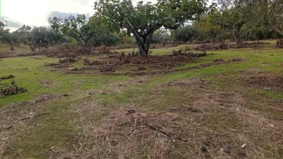 Rustic finca in Villanueva de La Vera photo 58