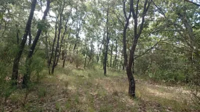 Rustic Finca in Losar de La Vera photo 5