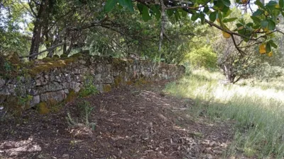 Rustic finca in Villanueva de La Vera photo 87