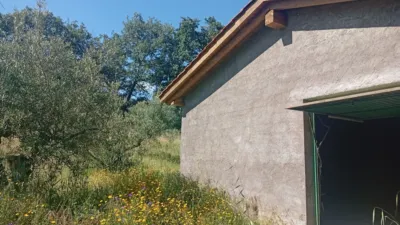 Chalet in Villanueva de La Vera photo 54