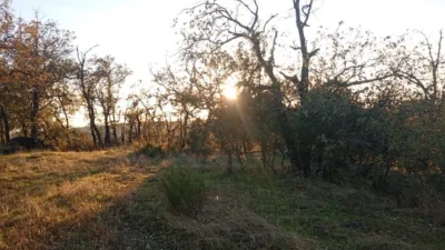 Rustic farm in Viandar de La Vera photo 21