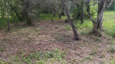 Rustic farm in Villanueva de La Vera photo 21