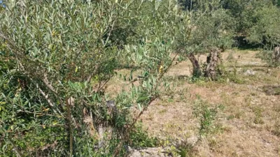 Rustic farm in Villanueva de La Vera photo 16