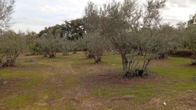 Rustic finca in Villanueva de La Vera photo 28