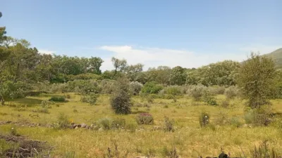Rustic finca in Villanueva de La Vera photo 97