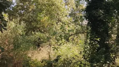 Rustic finca in Madrigal de La Vera photo 25