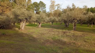 Rustic Finca in Villanueva de La Vera photo 37