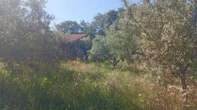 Chalet in Villanueva de La Vera photo 39