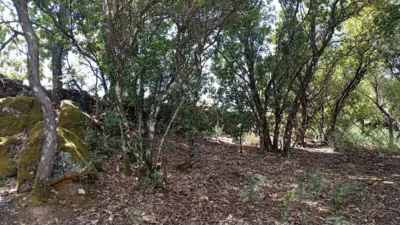 Rustic finca in Villanueva de La Vera photo 89