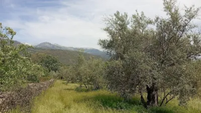Rustic finca in Villanueva de La Vera photo 61