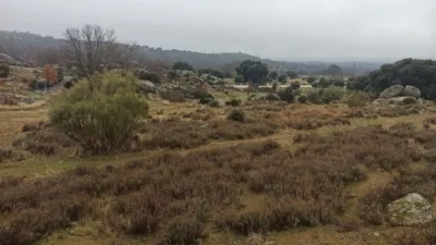 Rustic finca in Zarzalejo photo 17