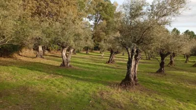 Rustic Finca in Villanueva de La Vera photo 5
