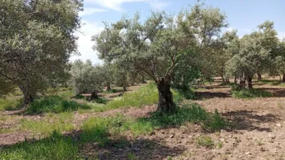 Rustic Finca in Villanueva de La Vera photo 64