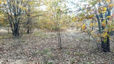Rustic farm in Viandar de La Vera photo 6