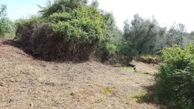 Rustic finca in Viandar de La Vera photo 13