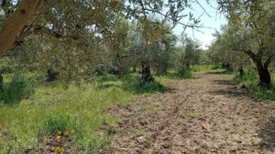 Rustic Finca in Villanueva de La Vera photo 34