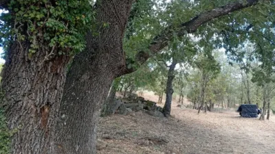 Rustic Finca in Villanueva de La Vera photo 126