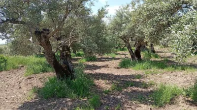 Rustic Finca in Villanueva de La Vera photo 50