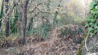 Rustic Finca in Viandar de La Vera photo 7
