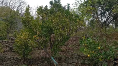 Rustic Finca in Valverde de La Vera photo 67
