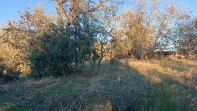 Rustic farm in Viandar de La Vera photo 16