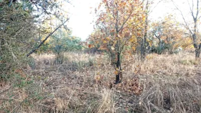 Rustic farm in Viandar de La Vera photo 11
