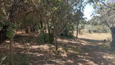 Rustic farm in Villanueva de La Vera photo 32