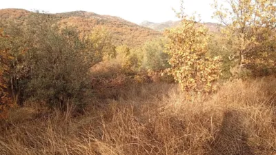 Rustic farm in Viandar de La Vera photo 36