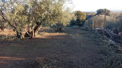 Rustic Finca in Villanueva de La Vera photo 57